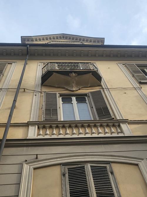 Dettaglio pipistrello sotto balcone del palazzo dei pipistrelli