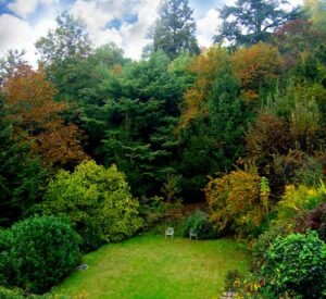 Villa con parco Moncalieri giardino
