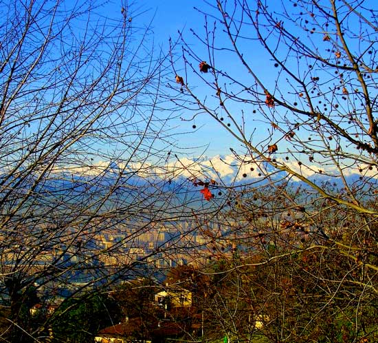 Villa con parco Moncalieri panoramica